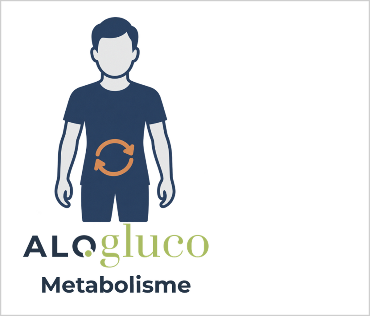 Alogluco Mannen Metabolisme